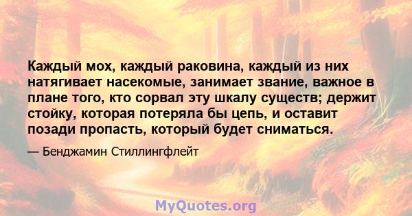 Каждый мох, каждый раковина, каждый из них натягивает насекомые, занимает звание, важное в плане того, кто сорвал эту шкалу существ; держит стойку, которая потеряла бы цепь, и оставит позади пропасть, который будет