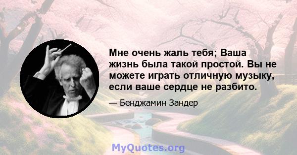 Мне очень жаль тебя; Ваша жизнь была такой простой. Вы не можете играть отличную музыку, если ваше сердце не разбито.