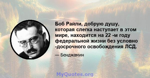 Боб Райли, добрую душу, которая слегка наступает в этом мире, находится на 22 -м году федеральной жизни без условно -досрочного освобождения ЛСД.