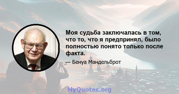 Моя судьба заключалась в том, что то, что я предпринял, было полностью понято только после факта.