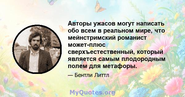 Авторы ужасов могут написать обо всем в реальном мире, что мейнстримский романист может-плюс сверхъестественный, который является самым плодородным полем для метафоры.