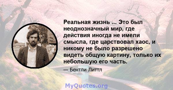 Реальная жизнь ... Это был неоднозначный мир, где действия иногда не имели смысла, где царствовал хаос, и никому не было разрешено видеть общую картину, только их небольшую его часть.