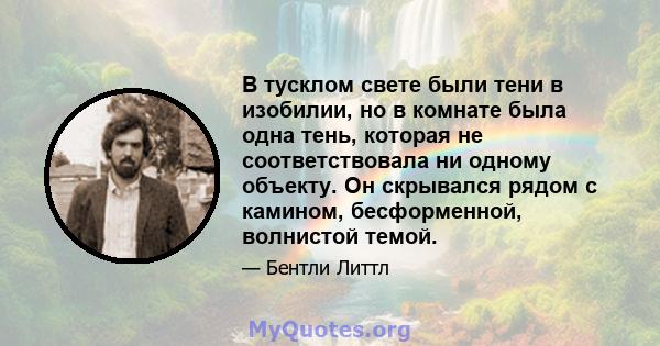 В тусклом свете были тени в изобилии, но в комнате была одна тень, которая не соответствовала ни одному объекту. Он скрывался рядом с камином, бесформенной, волнистой темой.