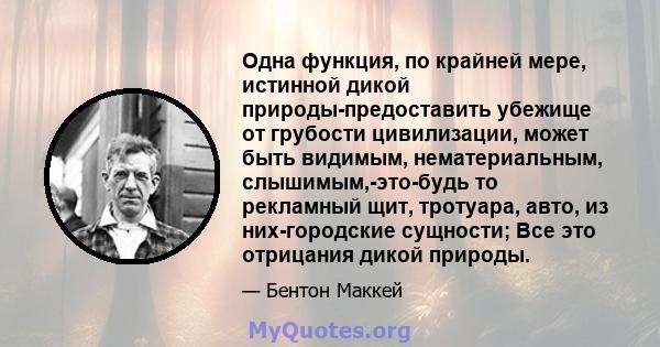 Одна функция, по крайней мере, истинной дикой природы-предоставить убежище от грубости цивилизации, может быть видимым, нематериальным, слышимым,-это-будь то рекламный щит, тротуара, авто, из них-городские сущности; Все 