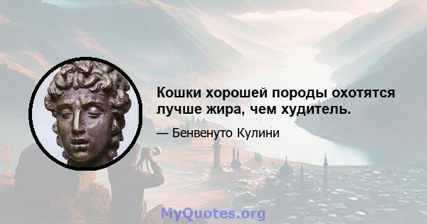 Кошки хорошей породы охотятся лучше жира, чем худитель.