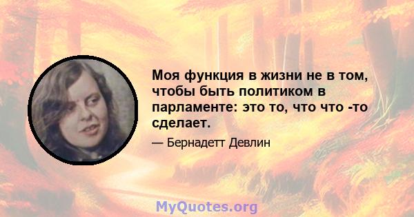 Моя функция в жизни не в том, чтобы быть политиком в парламенте: это то, что что -то сделает.