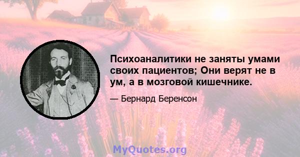 Психоаналитики не заняты умами своих пациентов; Они верят не в ум, а в мозговой кишечнике.