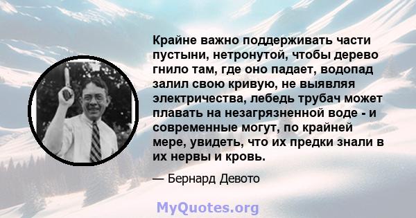 Крайне важно поддерживать части пустыни, нетронутой, чтобы дерево гнило там, где оно падает, водопад залил свою кривую, не выявляя электричества, лебедь трубач может плавать на незагрязненной воде - и современные могут, 