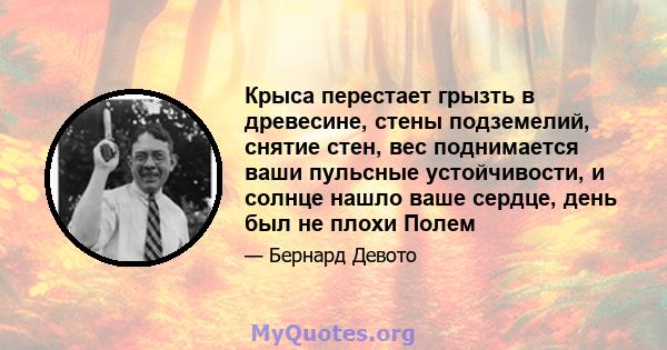 Крыса перестает грызть в древесине, стены подземелий, снятие стен, вес поднимается ваши пульсные устойчивости, и солнце нашло ваше сердце, день был не плохи Полем