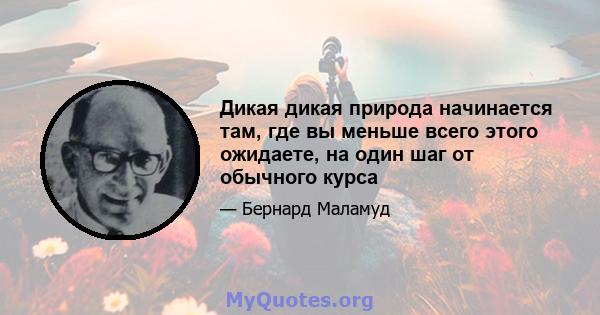 Дикая дикая природа начинается там, где вы меньше всего этого ожидаете, на один шаг от обычного курса