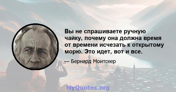 Вы не спрашиваете ручную чайку, почему она должна время от времени исчезать к открытому морю. Это идет, вот и все.