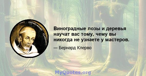 Виноградные лозы и деревья научат вас тому, чему вы никогда не узнаете у мастеров.