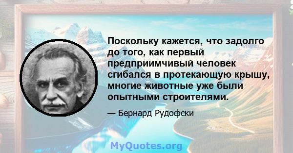 Поскольку кажется, что задолго до того, как первый предприимчивый человек сгибался в протекающую крышу, многие животные уже были опытными строителями.