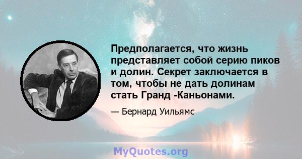 Предполагается, что жизнь представляет собой серию пиков и долин. Секрет заключается в том, чтобы не дать долинам стать Гранд -Каньонами.