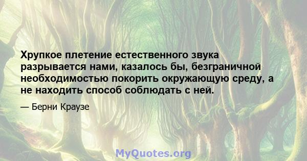 Хрупкое плетение естественного звука разрывается нами, казалось бы, безграничной необходимостью покорить окружающую среду, а не находить способ соблюдать с ней.