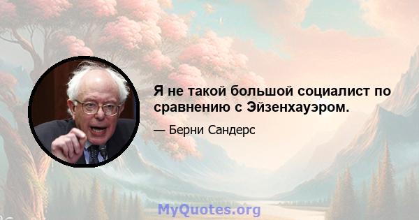 Я не такой большой социалист по сравнению с Эйзенхауэром.