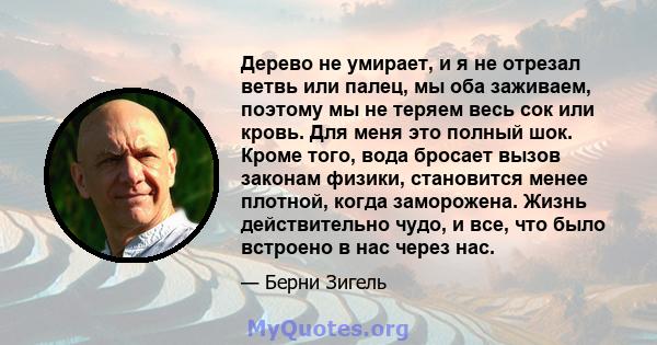 Дерево не умирает, и я не отрезал ветвь или палец, мы оба заживаем, поэтому мы не теряем весь сок или кровь. Для меня это полный шок. Кроме того, вода бросает вызов законам физики, становится менее плотной, когда