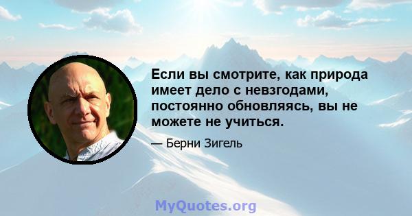 Если вы смотрите, как природа имеет дело с невзгодами, постоянно обновляясь, вы не можете не учиться.