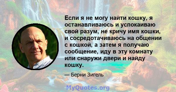 Если я не могу найти кошку, я останавливаюсь и успокаиваю свой разум, не кричу имя кошки, и сосредотачиваюсь на общении с кошкой, а затем я получаю сообщение, иду в эту комнату или снаружи двери и найду кошку.