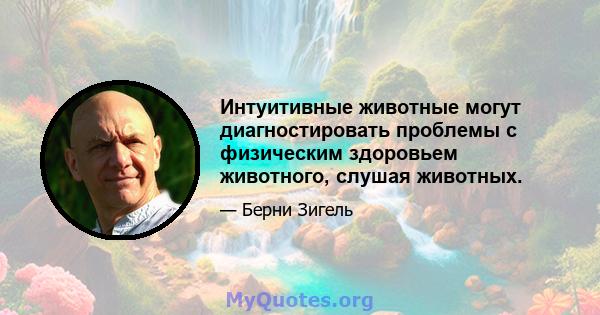 Интуитивные животные могут диагностировать проблемы с физическим здоровьем животного, слушая животных.