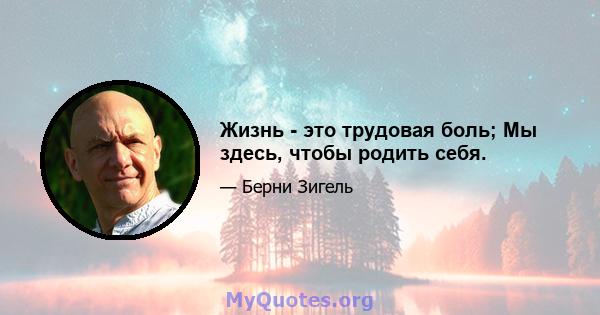 Жизнь - это трудовая боль; Мы здесь, чтобы родить себя.