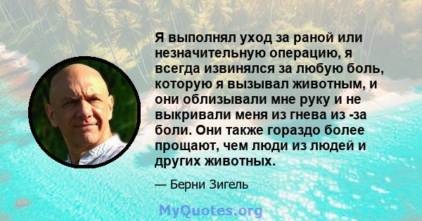 Я выполнял уход за раной или незначительную операцию, я всегда извинялся за любую боль, которую я вызывал животным, и они облизывали мне руку и не выкривали меня из гнева из -за боли. Они также гораздо более прощают,