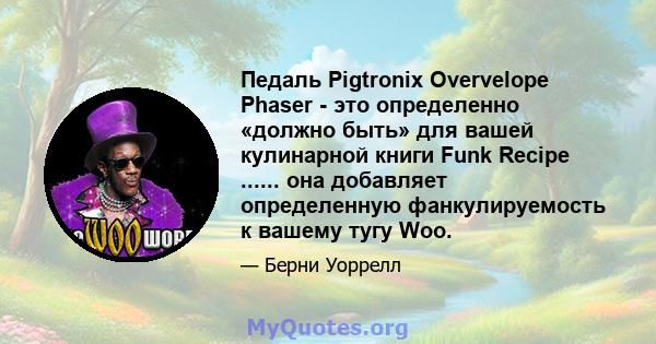 Педаль Pigtronix Overvelope Phaser - это определенно «должно быть» для вашей кулинарной книги Funk Recipe ...... она добавляет определенную фанкулируемость к вашему тугу Woo.