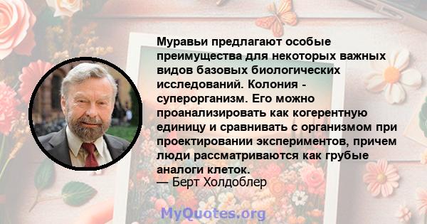 Муравьи предлагают особые преимущества для некоторых важных видов базовых биологических исследований. Колония - суперорганизм. Его можно проанализировать как когерентную единицу и сравнивать с организмом при