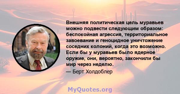 Внешняя политическая цель муравьев можно подвести следующим образом: беспокойная агрессия, территориальное завоевание и геноцидное уничтожение соседних колоний, когда это возможно. Если бы у муравьев было ядерное