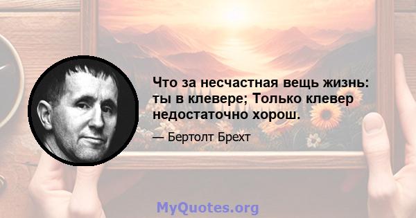 Что за несчастная вещь жизнь: ты в клевере; Только клевер недостаточно хорош.