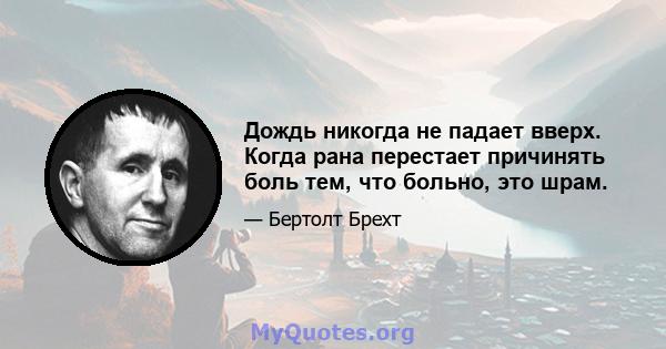 Дождь никогда не падает вверх. Когда рана перестает причинять боль тем, что больно, это шрам.