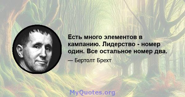 Есть много элементов в кампанию. Лидерство - номер один. Все остальное номер два.