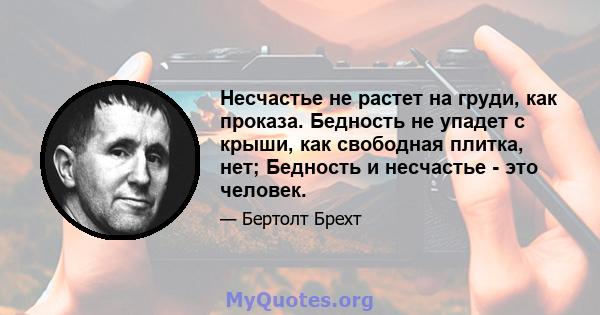 Несчастье не растет на груди, как проказа. Бедность не упадет с крыши, как свободная плитка, нет; Бедность и несчастье - это человек.