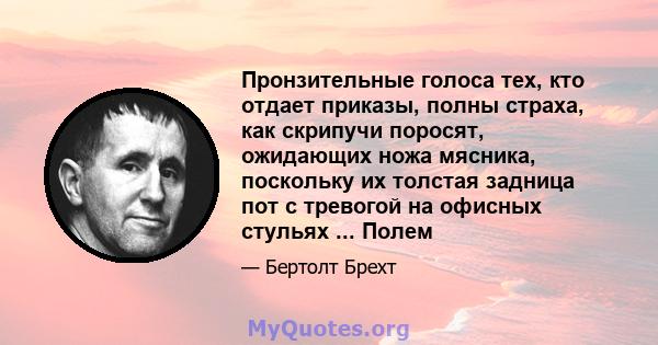 Пронзительные голоса тех, кто отдает приказы, полны страха, как скрипучи поросят, ожидающих ножа мясника, поскольку их толстая задница пот с тревогой на офисных стульях ... Полем