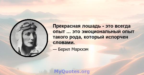 Прекрасная лошадь - это всегда опыт ... это эмоциональный опыт такого рода, который испорчен словами.