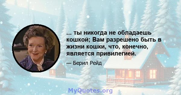 ... ты никогда не обладаешь кошкой; Вам разрешено быть в жизни кошки, что, конечно, является привилегией.