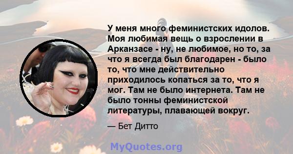 У меня много феминистских идолов. Моя любимая вещь о взрослении в Арканзасе - ну, не любимое, но то, за что я всегда был благодарен - было то, что мне действительно приходилось копаться за то, что я мог. Там не было