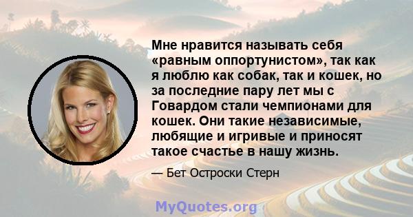 Мне нравится называть себя «равным оппортунистом», так как я люблю как собак, так и кошек, но за последние пару лет мы с Говардом стали чемпионами для кошек. Они такие независимые, любящие и игривые и приносят такое