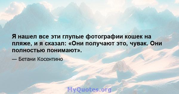 Я нашел все эти глупые фотографии кошек на пляже, и я сказал: «Они получают это, чувак. Они полностью понимают».