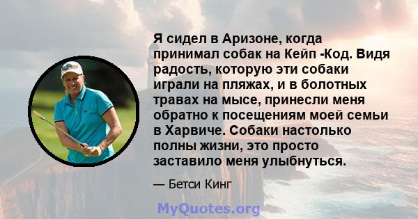 Я сидел в Аризоне, когда принимал собак на Кейп -Код. Видя радость, которую эти собаки играли на пляжах, и в болотных травах на мысе, принесли меня обратно к посещениям моей семьи в Харвиче. Собаки настолько полны