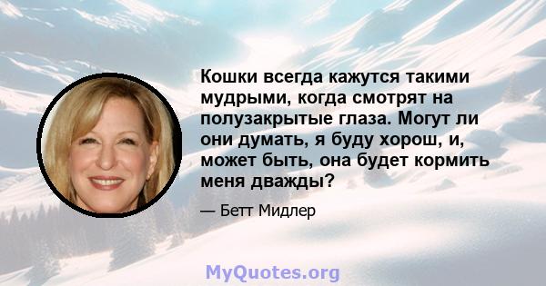 Кошки всегда кажутся такими мудрыми, когда смотрят на полузакрытые глаза. Могут ли они думать, я буду хорош, и, может быть, она будет кормить меня дважды?