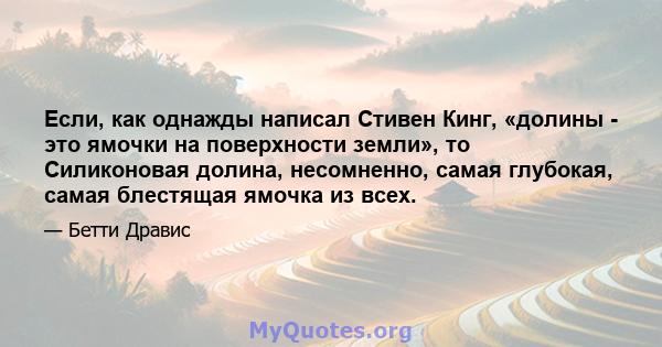 Если, как однажды написал Стивен Кинг, «долины - это ямочки на поверхности земли», то Силиконовая долина, несомненно, самая глубокая, самая блестящая ямочка из всех.