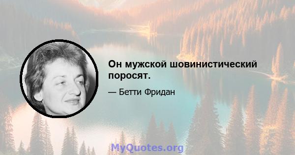 Он мужской шовинистический поросят.