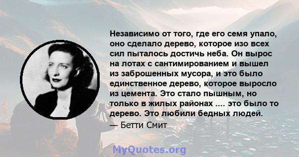 Независимо от того, где его семя упало, оно сделало дерево, которое изо всех сил пыталось достичь неба. Он вырос на лотах с сантимированием и вышел из заброшенных мусора, и это было единственное дерево, которое выросло