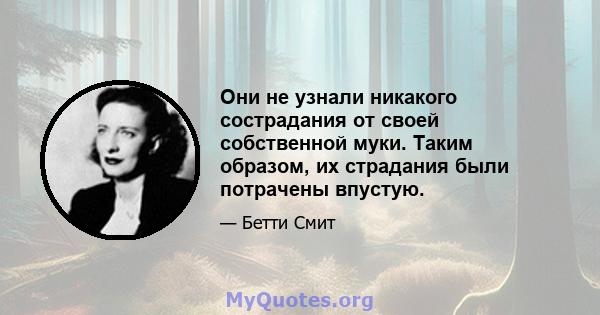 Они не узнали никакого сострадания от своей собственной муки. Таким образом, их страдания были потрачены впустую.