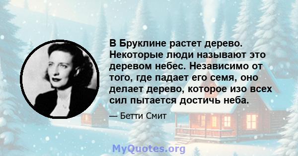 В Бруклине растет дерево. Некоторые люди называют это деревом небес. Независимо от того, где падает его семя, оно делает дерево, которое изо всех сил пытается достичь неба.