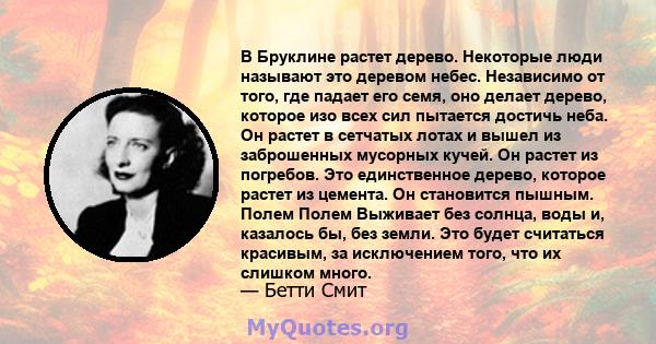 В Бруклине растет дерево. Некоторые люди называют это деревом небес. Независимо от того, где падает его семя, оно делает дерево, которое изо всех сил пытается достичь неба. Он растет в сетчатых лотах и ​​вышел из