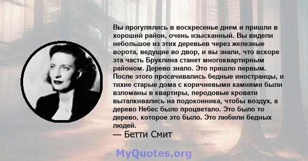 Вы прогулялись в воскресенье днем ​​и пришли в хороший район, очень изысканный. Вы видели небольшое из этих деревьев через железные ворота, ведущие во двор, и вы знали, что вскоре эта часть Бруклина станет