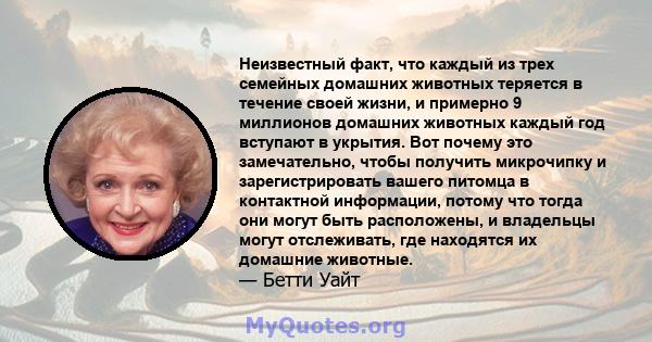 Неизвестный факт, что каждый из трех семейных домашних животных теряется в течение своей жизни, и примерно 9 миллионов домашних животных каждый год вступают в укрытия. Вот почему это замечательно, чтобы получить