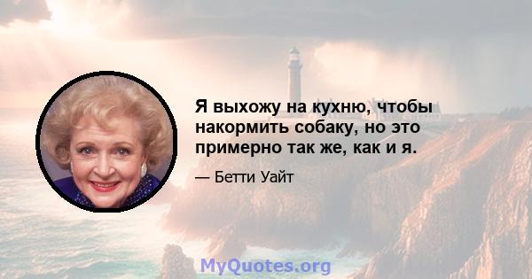 Я выхожу на кухню, чтобы накормить собаку, но это примерно так же, как и я.